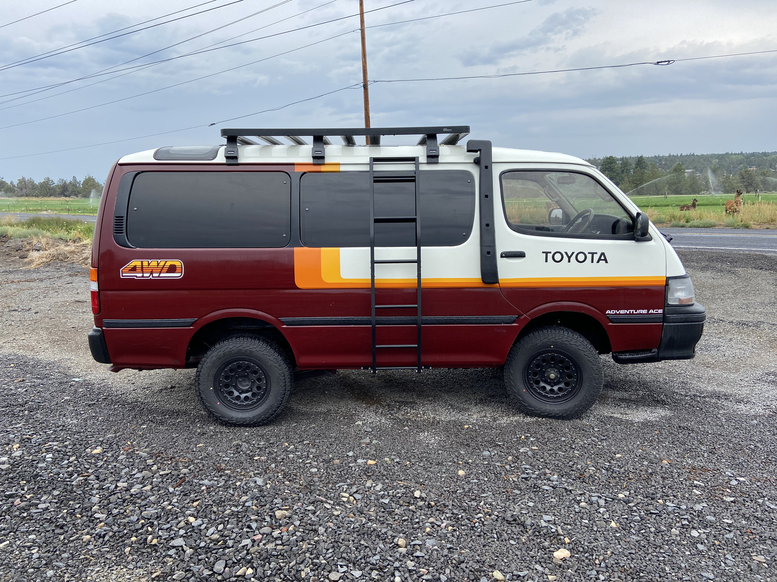 Adventure Ace van camp setup